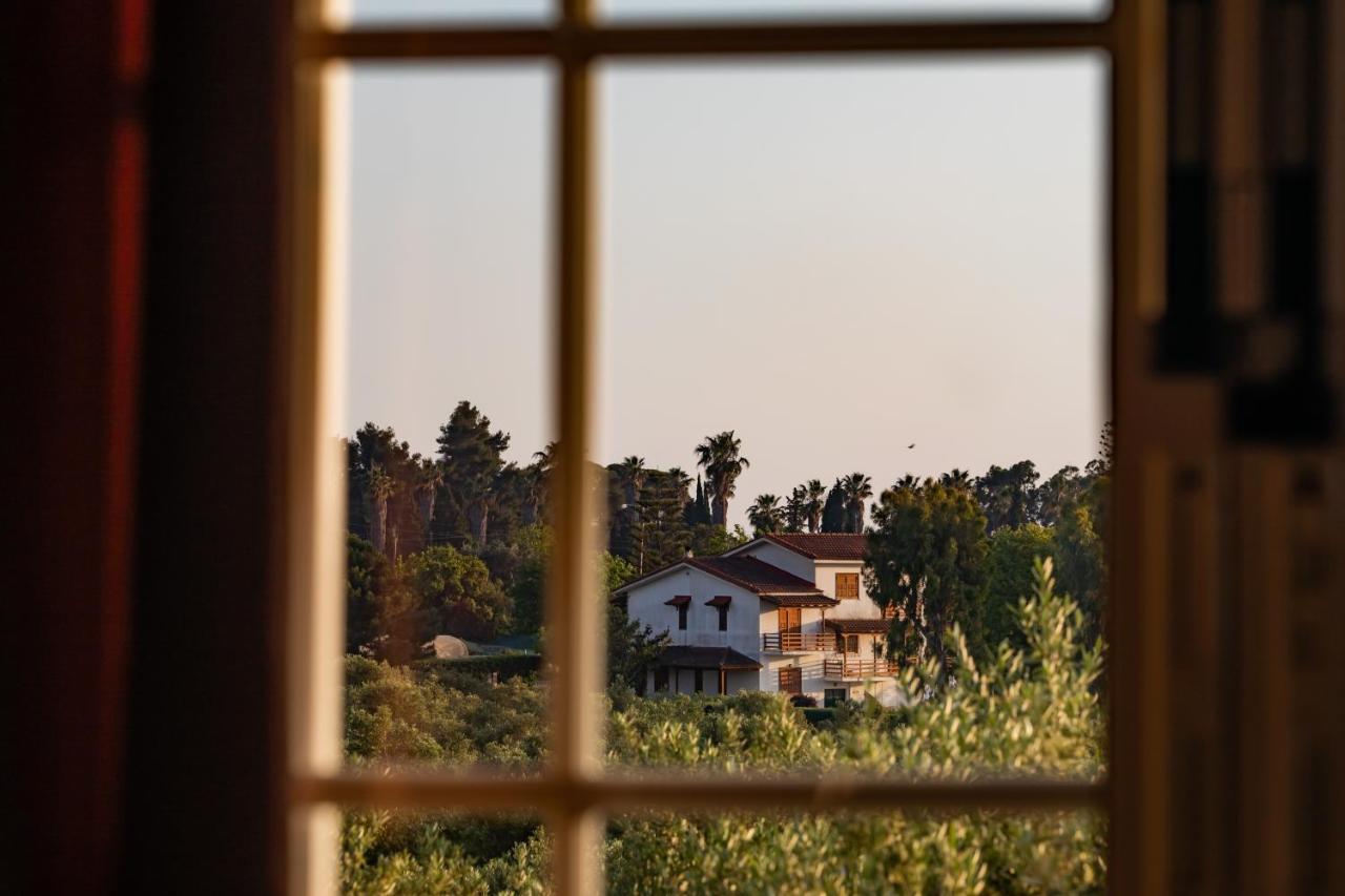 Villa Georgina B&B 卡塔科隆 外观 照片