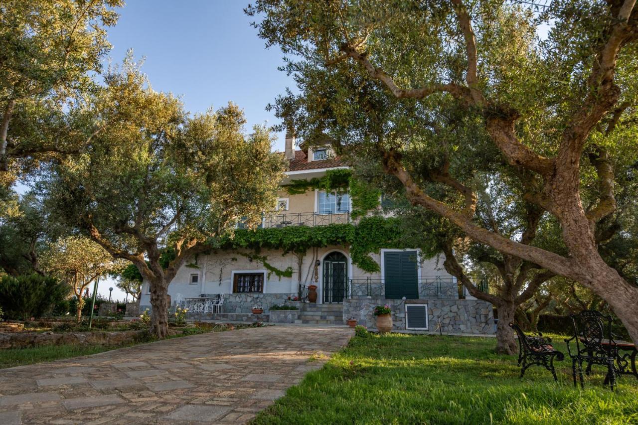 Villa Georgina B&B 卡塔科隆 外观 照片