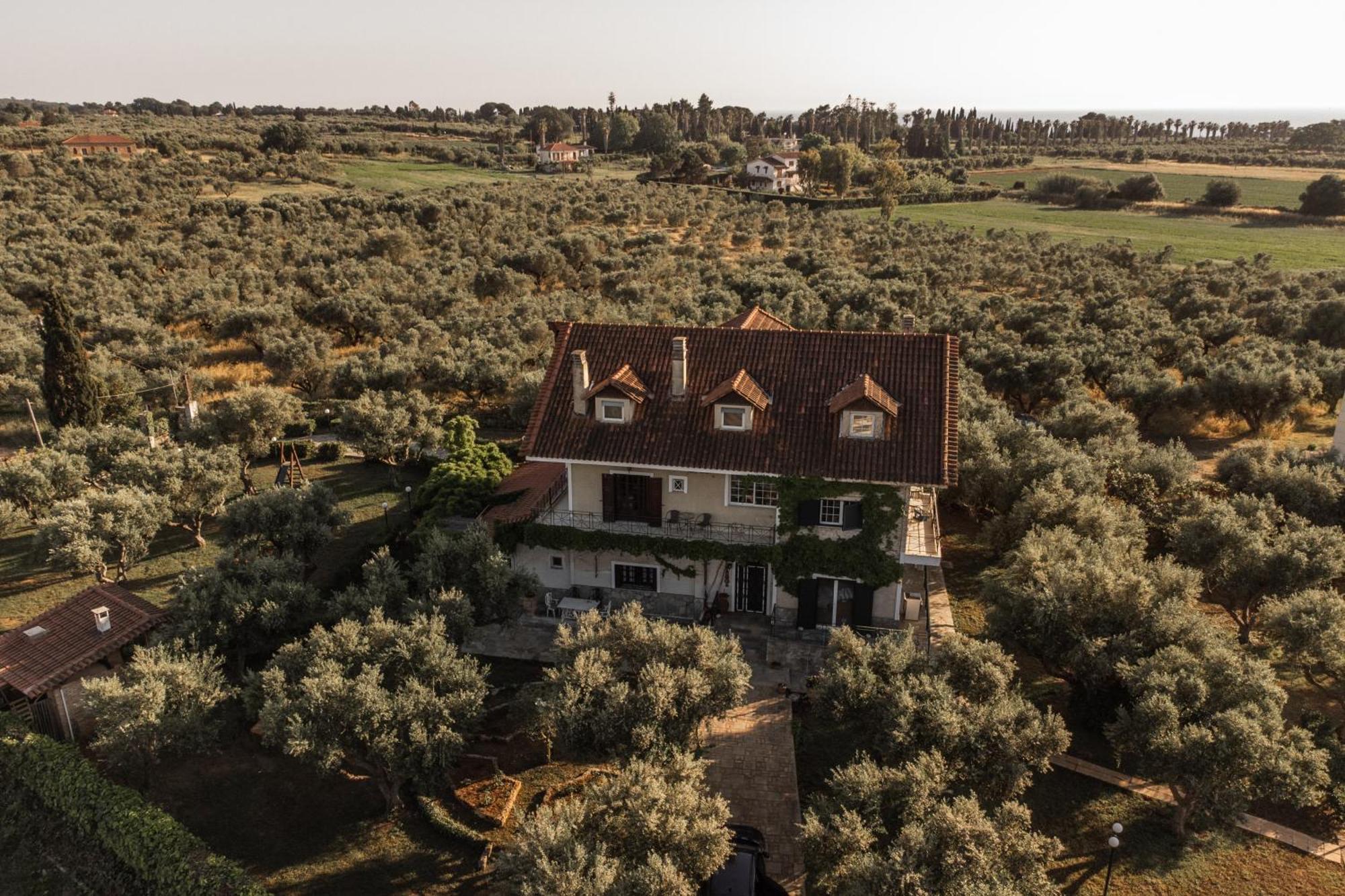 Villa Georgina B&B 卡塔科隆 外观 照片